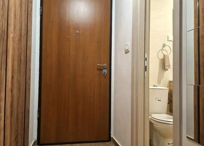 Podgorica Apartment Daire *